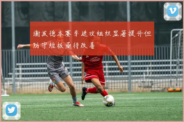 谢泼德本赛季进攻组织显著提升但防守短板亟待改善